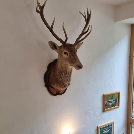 Penzion Terra Neustift im Stubaital