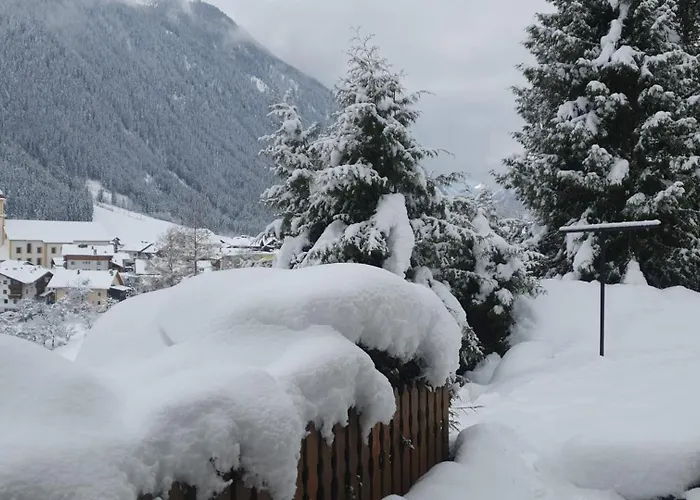 Terra Гостевой дом 3*