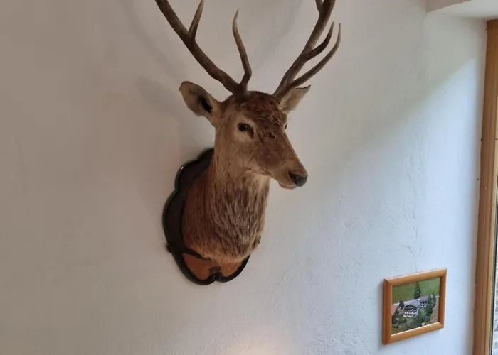 Гостевой дом Terra Нойштифт-им-Штубайталь