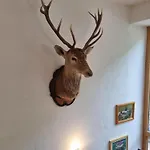 Maison d'hôtes Terra Neustift im Stubaital